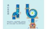 離心泵啟動時，出口閥門必 須關(guān)閉嗎？